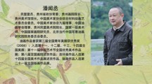 贵州画院（贵州美术馆）院长（馆长）、中国美术家协会理事潘闻丞先生专题讲座